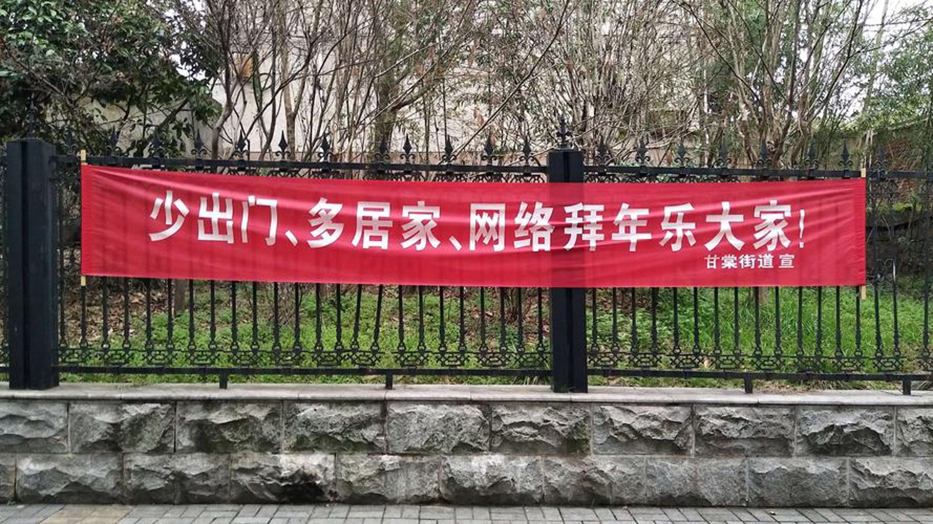 其林智虎网络